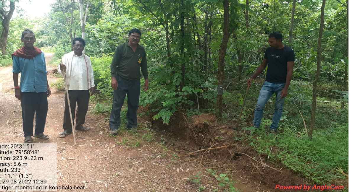 गडचिरोलीत वाघाच्या हल्ल्यात एक व्यक्ती ठार, वनविभागाने तातडीने ट्रॅप कॅमेरे लावले 1 2 3