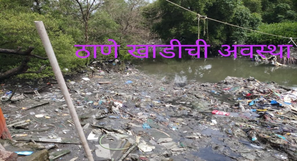 जलप्रदूषणामुळे ठाणे खाडीची वाताहात! रामसर स्थळ जाहीर करण्याच्या निकषाला धक्का 1 IMG 20220815 WA0017
