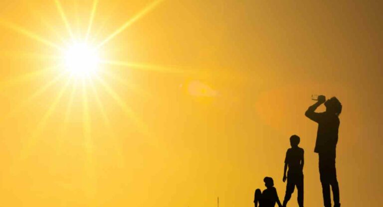 Heat Wave : विदर्भात पुढील दोन दिवस उष्णतेचा इशारा