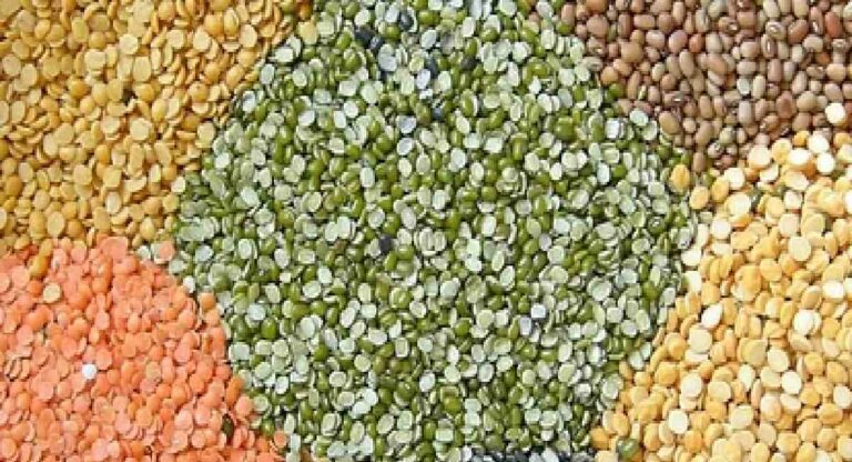 Central Government : उडीद, तूर या खरीप पिकांच्या एमएसपीमध्ये वाढ करण्यास केंद्र सरकारची मंजुरी