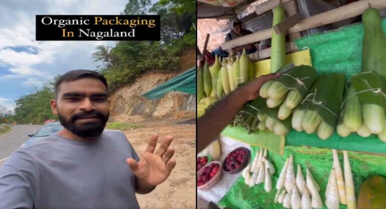 नागालॅंडमध्ये प्लास्टिकच्या पिशव्यांचा वापर होत नाही? मंत्री तेमजेन इमना अलॉंग यांनी केली पुष्टी!