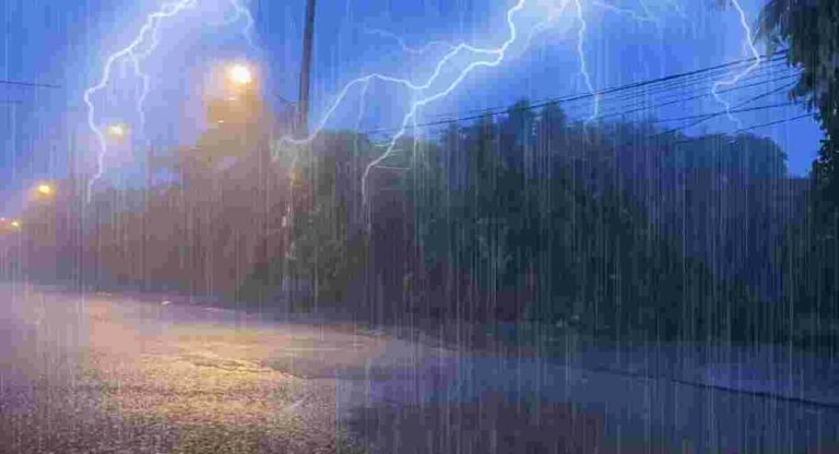 Heavy Rain : चंद्रपूर जिल्ह्यात वीज पडून आतापर्यंत सहा जणांचा मृत्यू
