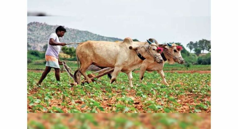 महाराष्ट्रातील लाभार्थ्यांना पीएम किसान योजनेअंतर्गत ‘इतक्या’ कोटी रुपयांहून अधिक रक्कम हस्तांतरित