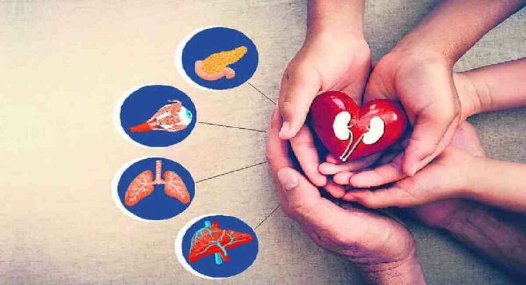 Organ Donor : देशातील सार्वजनिक रुग्णालयातून अवयव दाते मिळण्यासाठी सक्षम यंत्रणेची गरज – डॉक्टरांचे मत