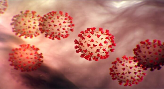Covid-19 New Variant: भारतात 290 जणांना कोविडच्या नवीन व्हेरिएंटचा संसर्ग, आरोग्य तज्ज्ञ म्हणाले...