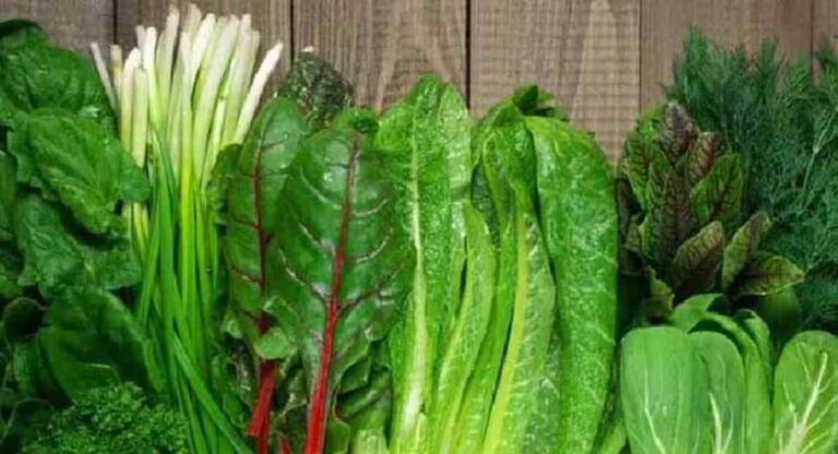 Vegies Is Rainy Season : पावसाळ्यात आहारात ‘या’ रानभाज्यांचा समावेश नक्की करा