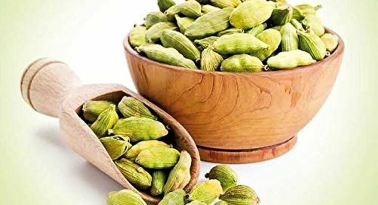 Cardamom Price : वेलचीचे दर वाढले, दरवाढ कायम राहणार असल्याचा व्यापाऱ्यांचा अंदाज