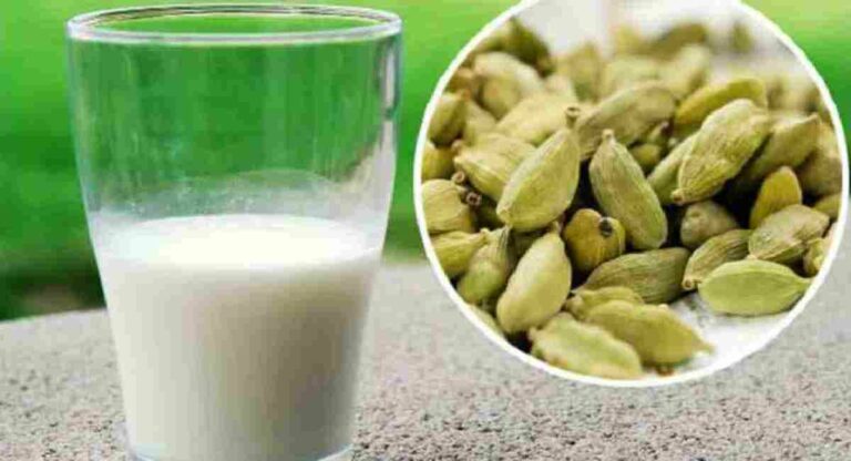 Cardamom Milk : वेलचीच्या दुधाचा समावेश मुलांच्या आहारात केल्याने होतील ‘हे’ फायदे