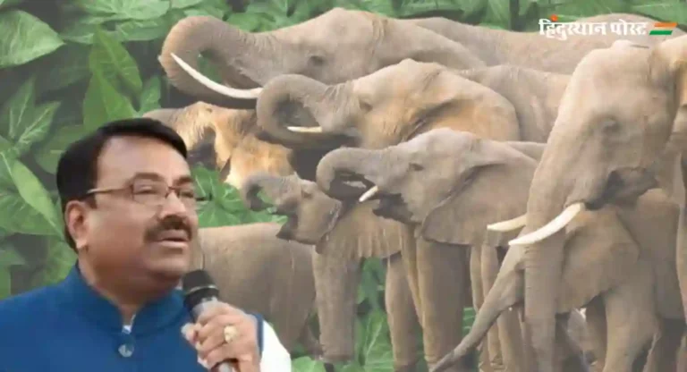 Sudhir Mungantiwar : हत्तीमुळे झालेल्या नुकसानभरपाईची रक्कम वाढवा