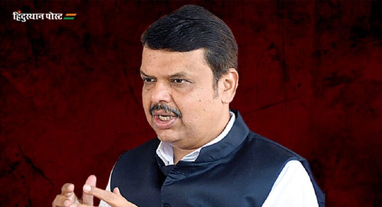 वाघ्या कुत्र्याची समाधी हटवण्याबाबत CM Devendra Fadnavis काय म्हणाले?