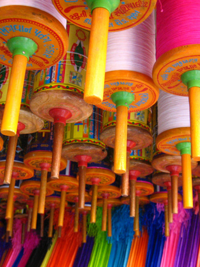Makar Sankranti : पतंगप्रेमींनी काय खबरदारी घ्यावी?