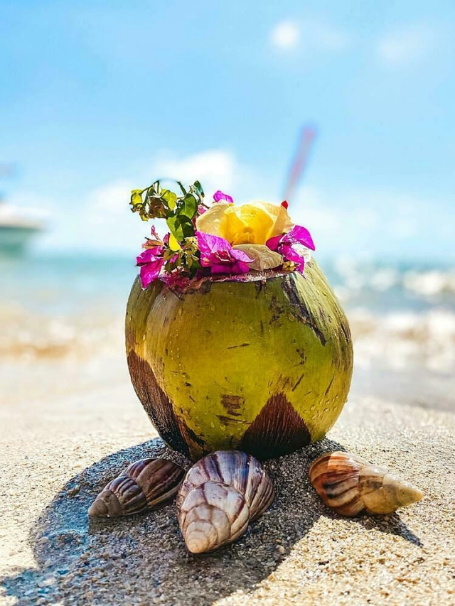 Coconut Water : दररोज नारळ पाणी पिण्याचे ७ आरोग्यदायी फायदे