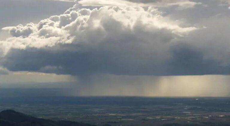 IMD Monsoon Update : राज्यातील विविध भागांत यलो तर विदर्भाला ऑरेंज अलर्ट जारी