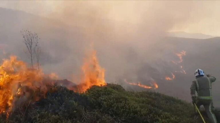 England Wildfire : वाढत्या तापमानाचा फटका; डार्टमूर येथील आगीत १२,५०० एकर जमीन खाक