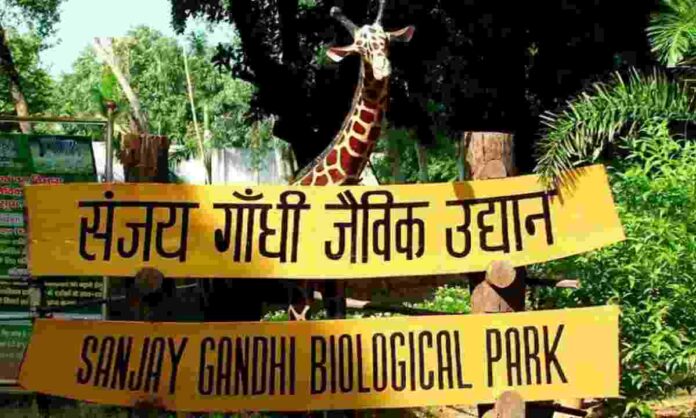 park