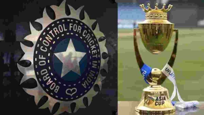 asia cup