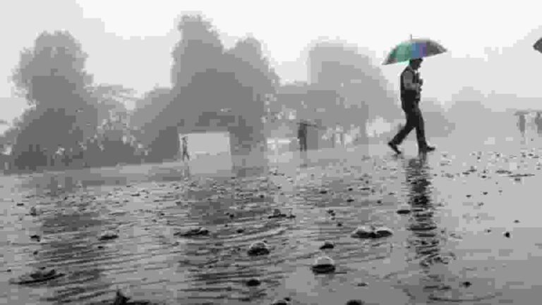 Monsoon Updates :  महाराष्ट्रासह उत्तर भारतात सर्वत्र पावसाचा कहर; जाणून घ्या अपडेट्स