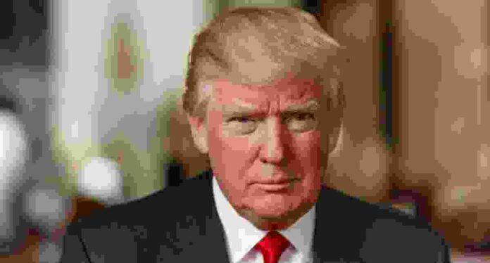 trump (19)