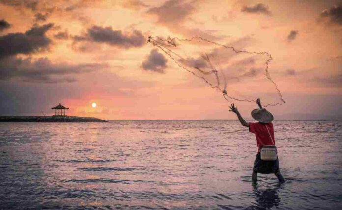 Fishermen Instructions: खोल समुद्रात मासेमारीला १ ऑगस्टपासून परवानगी, नियमांचे पालन करण्याचे मत्स्य विभागाचे आवाहन Fishermen Instructions: खोल समुद्रात मासेमारीला १ ऑगस्टपासून परवानगी, नियमांचे पालन करण्याचे मत्स्य विभागाचे आवाहन