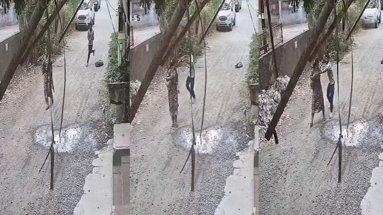 Palgharमध्ये २७ वर्षाच्या तरुणीवर कोयत्याने हल्ला, घटनेचा सीसीटीव्ही व्हिडिओ व्हायरल