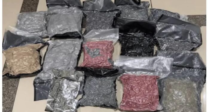 Crime News: अहमदाबाद विमानतळावर गांजा तस्करीचा पर्दाफाश, ८.९ कोटी रुपयांच्या गांजासह मुंबईतील एका व्यक्तिला अटक Crime News: अहमदाबाद विमानतळावर गांजा तस्करीचा पर्दाफाश, ८.९ कोटी रुपयांच्या गांजासह मुंबईतील एका व्यक्तिला अटक